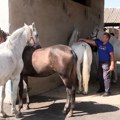 У Шапцу уз коње стасавају генерације